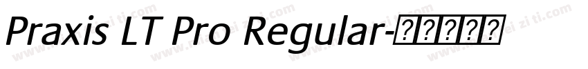 Praxis LT Pro Regular字体转换
